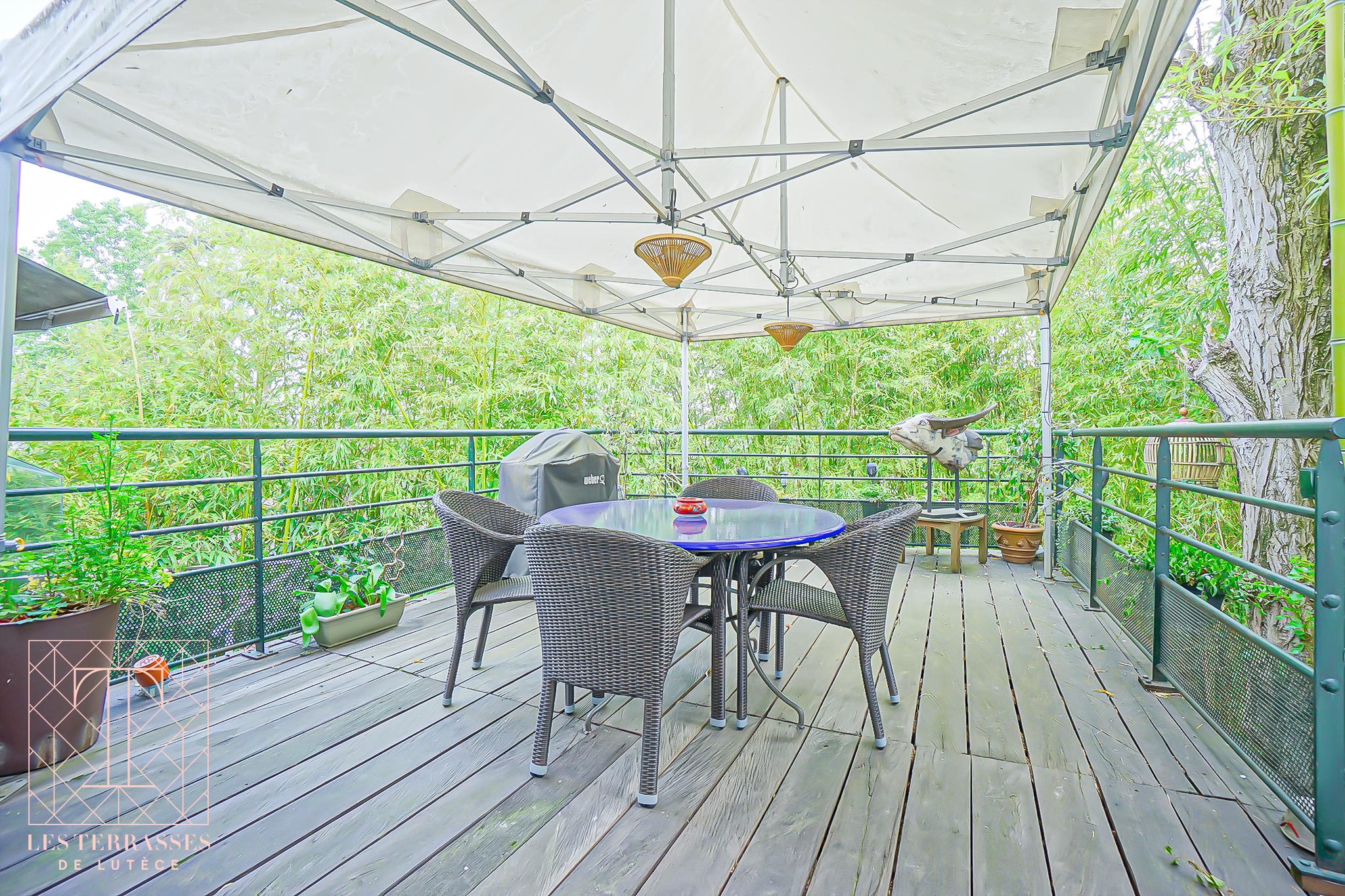 Photo n°5 du bien immobilier Élégante meulière de caractère avec jardin paysager